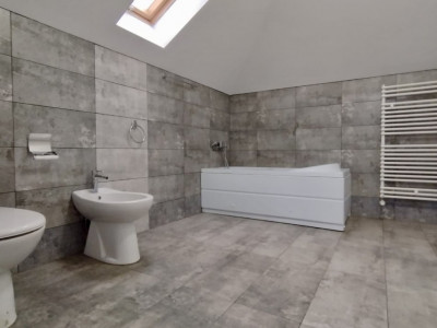 Casa individuala, cu 7 camere, de vanzare in Sacalaz imagine mica 19, foxfort.ro