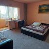 Apartament 1 camera, decomandat, etaj 2, zona Steaua - ID V2503 thumb 1