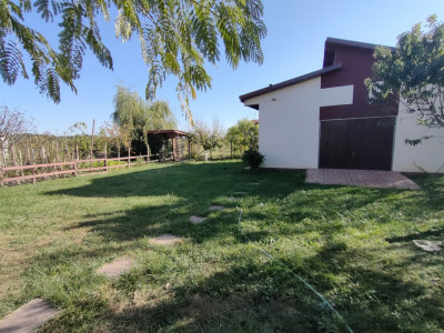 Casa individuala cu 5 camere de vanzare in Sag - ID V155 imagine mica 38, foxfort.ro