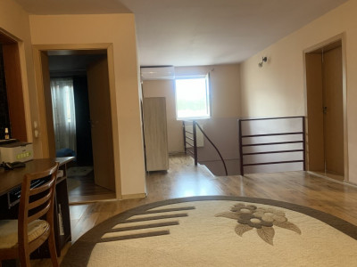 Casa individuala cu 9 camere, Dumbravita - ID V3263 imagine mica 7, foxfort.ro