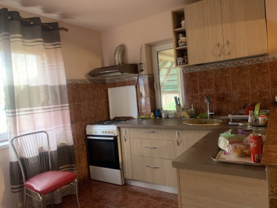 Casa individuala cu 9 camere, Dumbravita - ID V3263 imagine mica 22, foxfort.ro