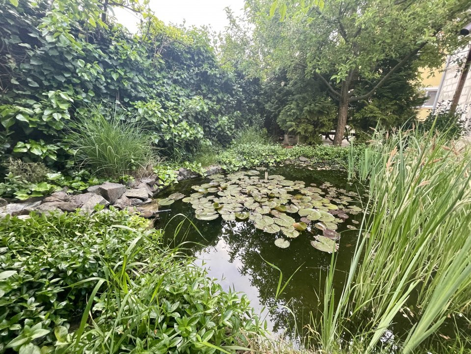 Vila in inima Dumbravitei, 1102 mp teren - ID V3461 26, foxfort.ro