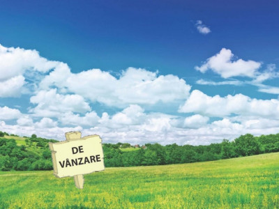 Teren extravilan de vanzare, 41100 mp, Timisoara - ID V3582 imagine mica 2, foxfort.ro