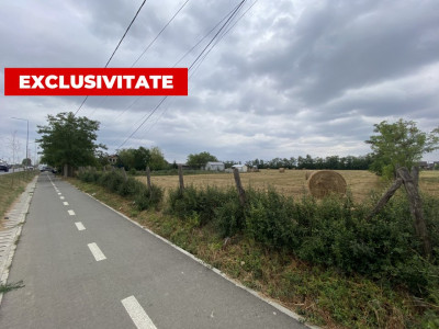 Teren intravilan Mosnita Noua cu front la soseaua principala - ID V3915 imagine mica 3, foxfort.ro
