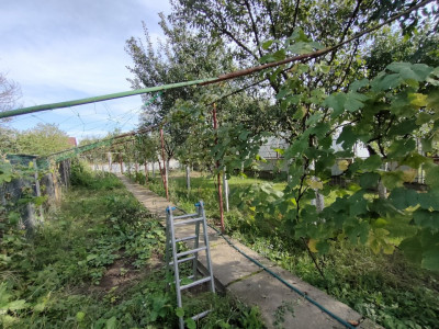 Casa individuala in Chisoda 160 mp utili, toate utilitatile - ID V4233 imagine mica 9, foxfort.ro