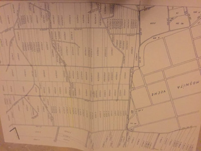 Teren 20000 mp intre Mosnita Veche si Bucovat - ID V4317 imagine mica 3, foxfort.ro