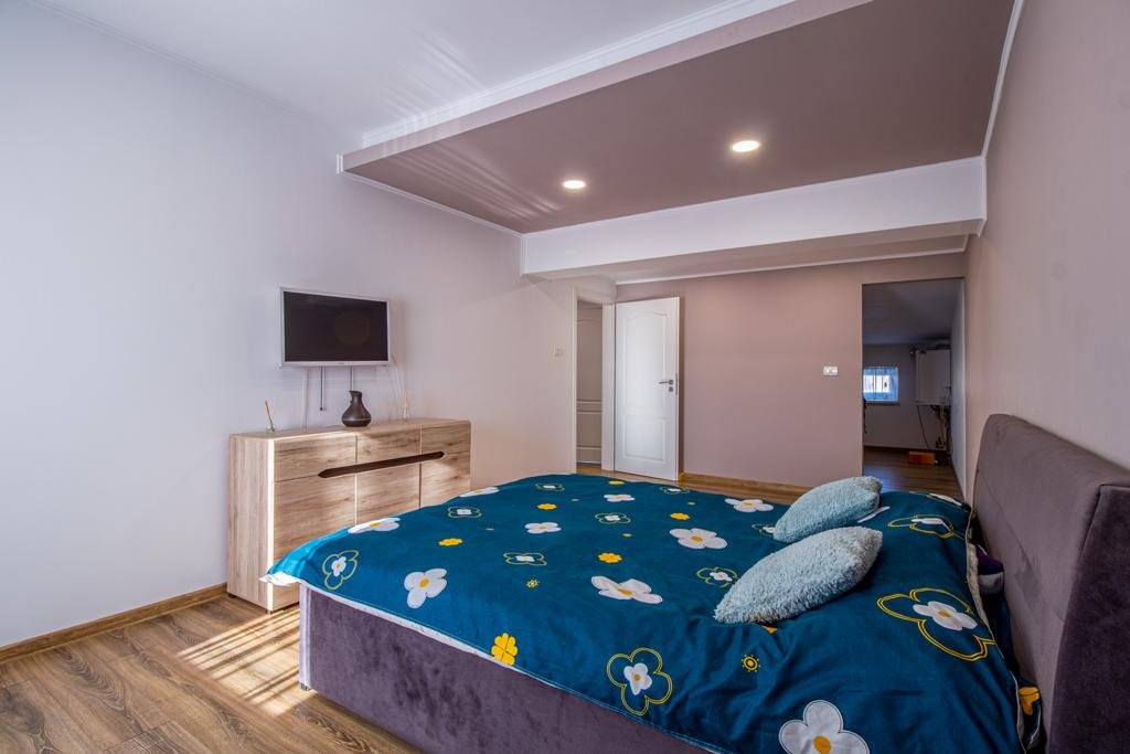 Casa 3 camere cu spatiu comercial in Carani - ID V4331 24, foxfort.ro