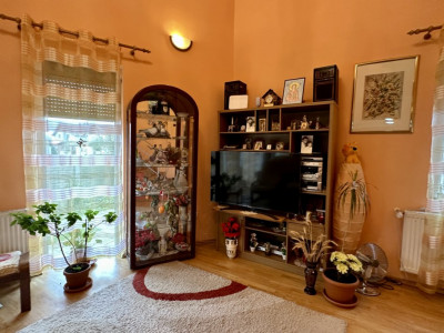 Casa individuala 5 camere si teren 1000 mp, in Sag imagine mica 15, foxfort.ro