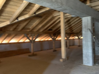 Vila exclusivista 880 mp utili zona Mehala pretabil clinica - ID V4454 imagine mica 9, foxfort.ro