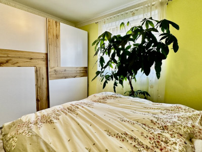 Casa individuala 4 camere - Asfalt - Sag - Zona Manastirii - ID V4795 imagine mica 7, foxfort.ro