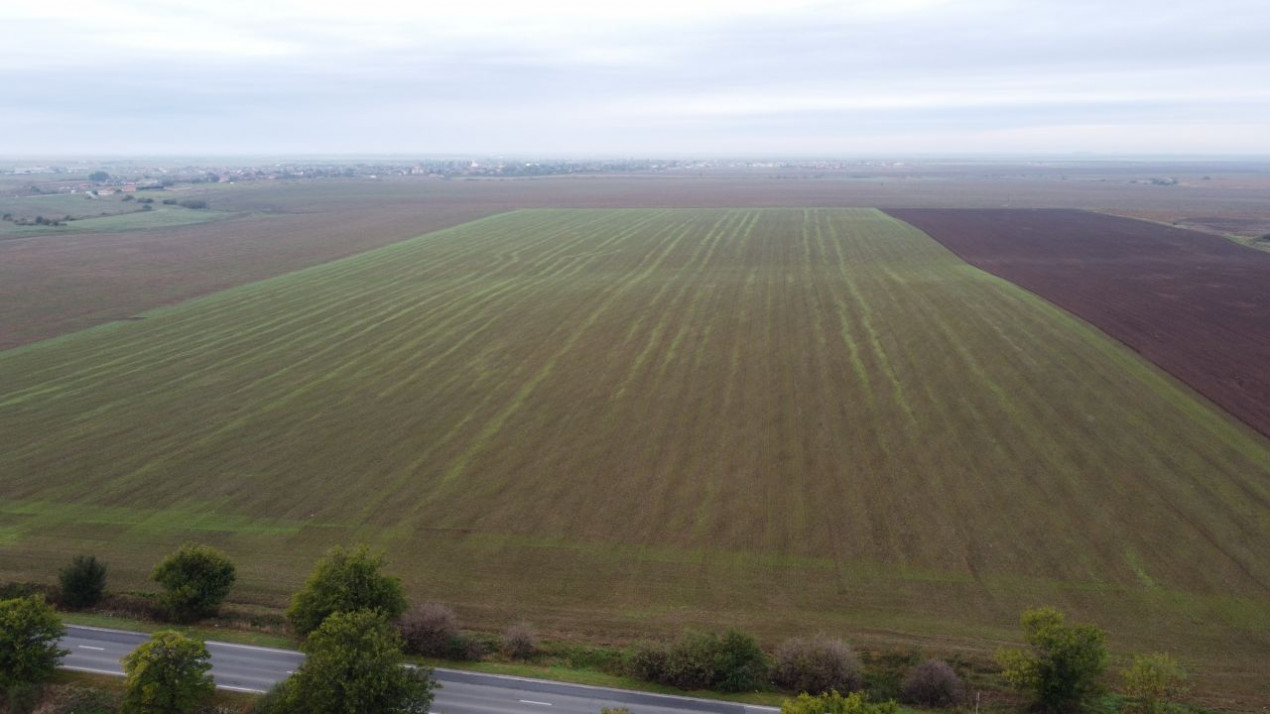 Teren Agricol | Opurtunitate investitie | Sananadrei - ID V713 2, foxfort.ro