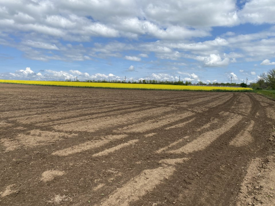 Teren Agricol | Opurtunitate investitie | Sananadrei - ID V713 3, foxfort.ro