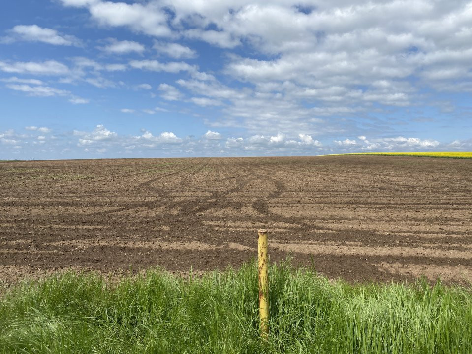 Teren Agricol | Opurtunitate investitie | Sananadrei - ID V713 4, foxfort.ro