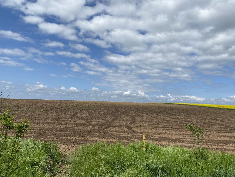 Teren Agricol | Opurtunitate investitie | Sananadrei - ID V713 5, foxfort.ro