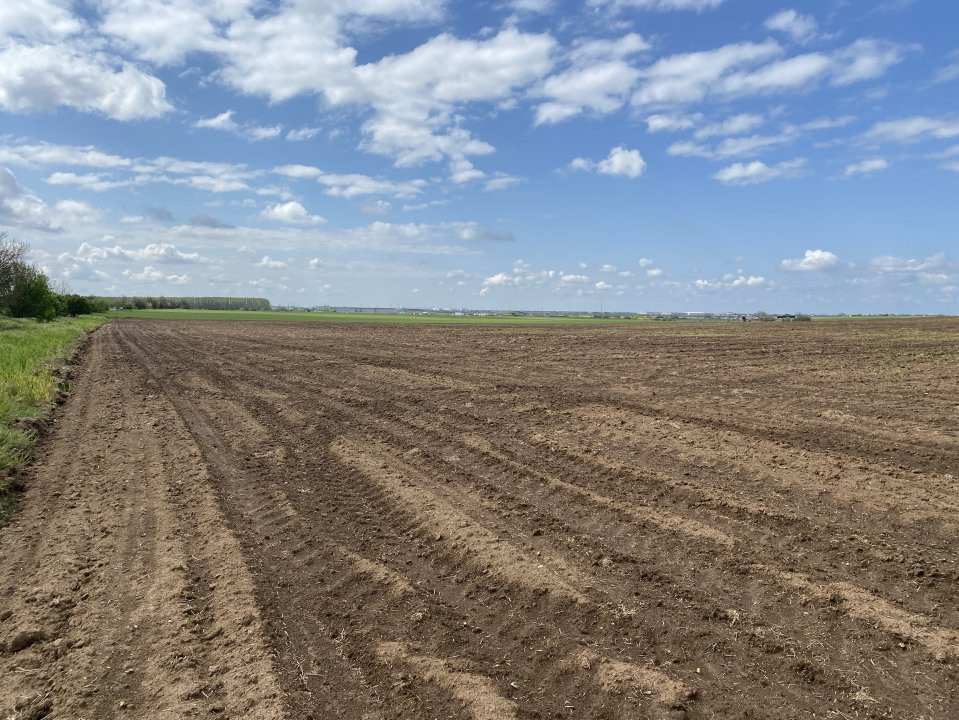 Teren Agricol | Opurtunitate investitie | Sananadrei - ID V713 6, foxfort.ro