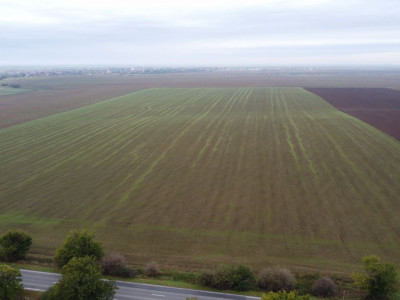 Teren Agricol | Opurtunitate investitie | Sananadrei - ID V713 imagine mica 2, foxfort.ro