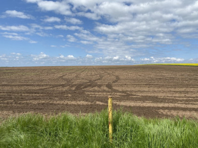 Teren Agricol | Opurtunitate investitie | Sananadrei - ID V713 imagine mica 4, foxfort.ro