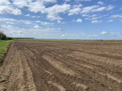 Teren Agricol | Opurtunitate investitie | Sananadrei - ID V713 imagine mica 6, foxfort.ro