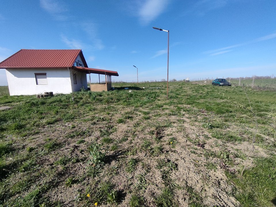 Teren de 2600 mp in Sanmihaiul Roman imprejmuit - ID V5057 2, foxfort.ro