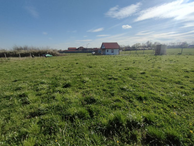 Teren de 2600 mp in Sanmihaiul Roman imprejmuit - ID V5057 imagine mica 7, foxfort.ro