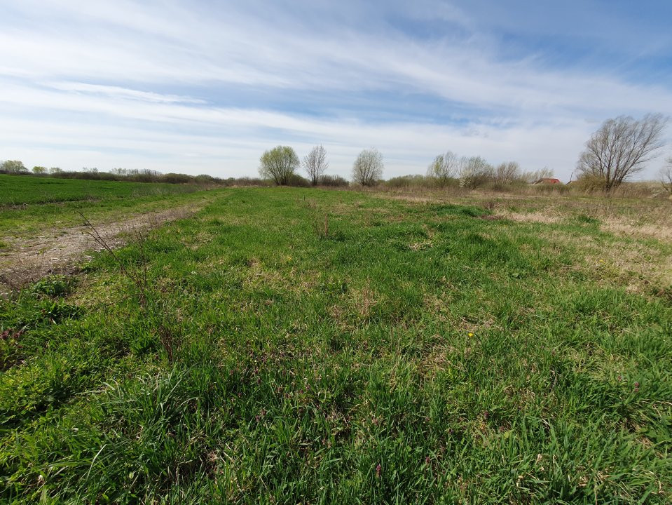 Teren intravilan, suprafata de 504 mp, cartier nou, in Utvin - ID V5060 4, foxfort.ro