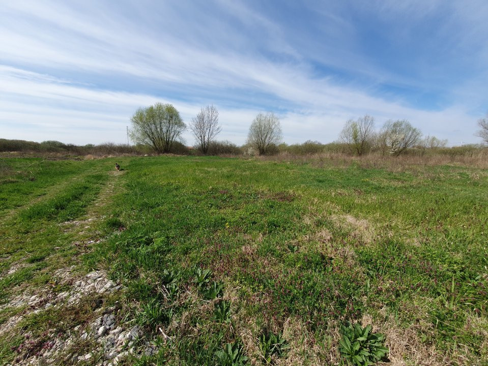 Teren intravilan, suprafata de 504 mp, cartier nou, in Utvin - ID V5060 11, foxfort.ro