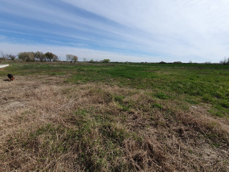 Teren intravilan, suprafata de 504 mp, cartier nou, in Utvin - ID V5060 13, foxfort.ro