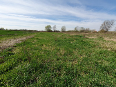 Teren intravilan, suprafata de 504 mp, cartier nou, in Utvin - ID V5060 imagine mica 4, foxfort.ro