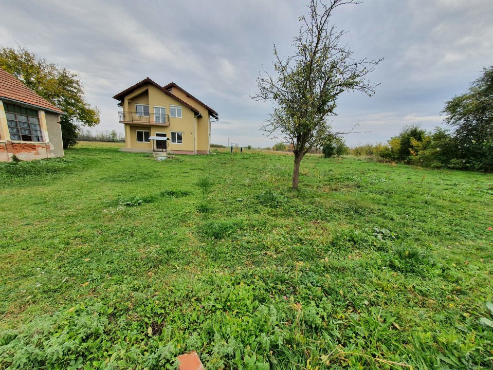 Casa cu 5 camere, 236 mp, teren 5805 mp, gaz, Brestea - Denta  41, foxfort.ro