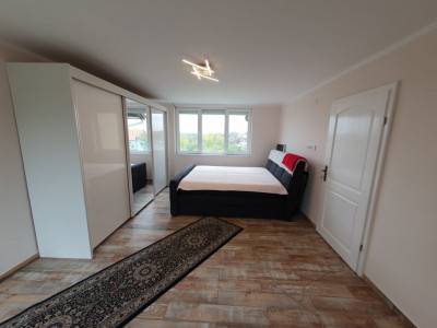 Casa cu 5 camere, 236 mp, teren 5805 mp, gaz, Brestea - Denta  imagine mica 9, foxfort.ro