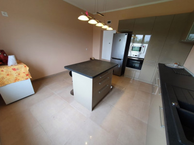 Casa cu 5 camere, 236 mp, teren 5805 mp, gaz, Brestea - Denta  imagine mica 22, foxfort.ro