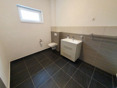 Casa cu 5 camere, 236 mp, teren 5805 mp, gaz, Brestea - Denta  imagine mica 25, foxfort.ro