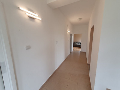 Casa cu 5 camere, 236 mp, teren 5805 mp, gaz, Brestea - Denta  imagine mica 26, foxfort.ro