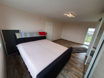 Casa cu 5 camere, 236 mp, teren 5805 mp, gaz, Brestea - Denta  imagine mica 34, foxfort.ro