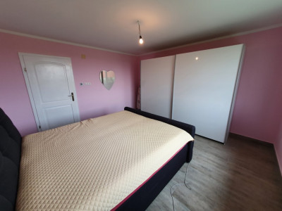 Casa cu 5 camere, 236 mp, teren 5805 mp, gaz, Brestea - Denta  imagine mica 37, foxfort.ro