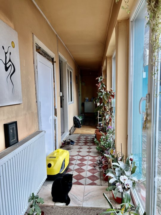 Casa individuala in Timisoara cu teren de 2863 MP - ID V2875 12, foxfort.ro