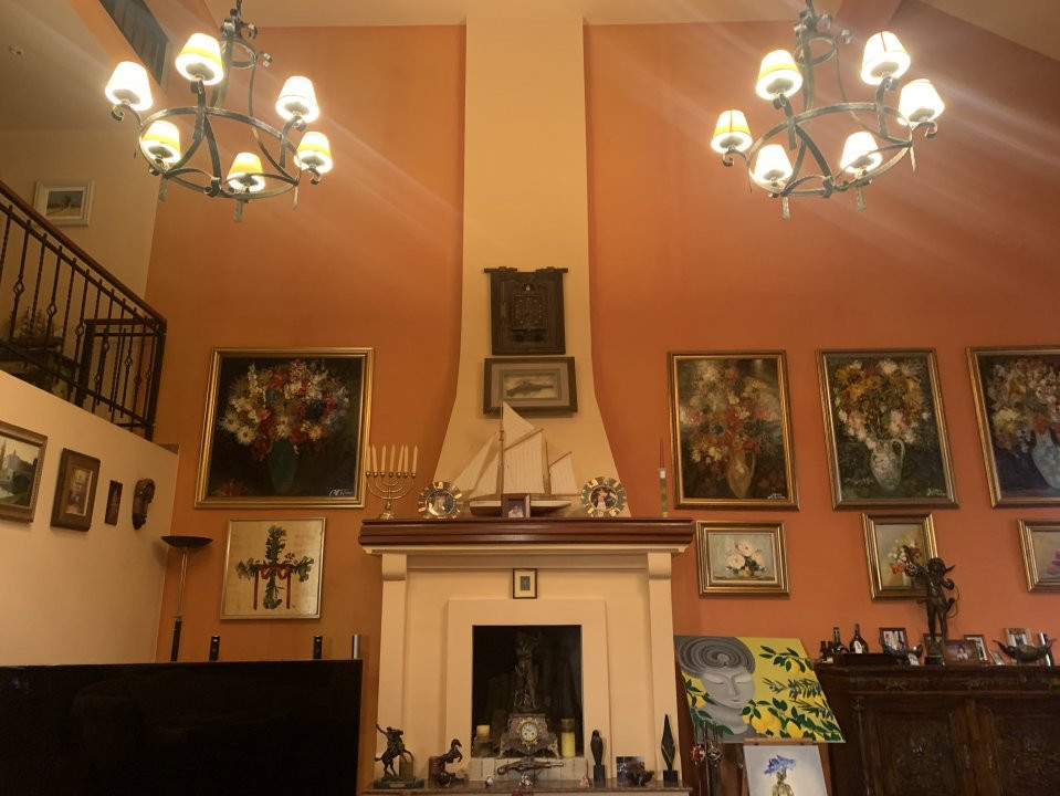 Vila Duplex cu lac si piscina Giarmata Vii  cu 5880 mp de teren - ID V5269 16, foxfort.ro