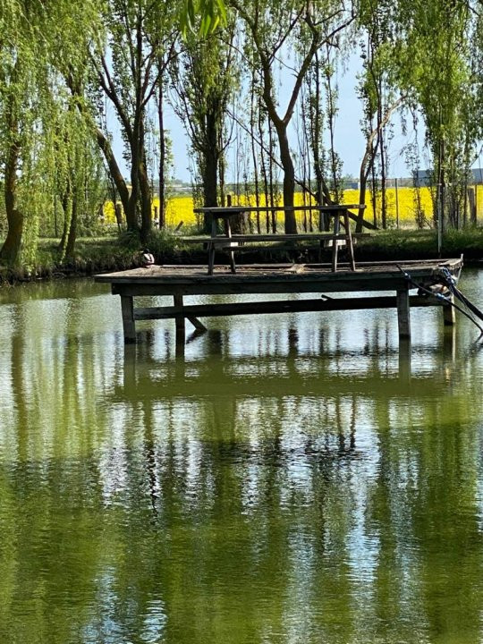 Vila Duplex cu lac si piscina Giarmata Vii  cu 5880 mp de teren - ID V5269 18, foxfort.ro