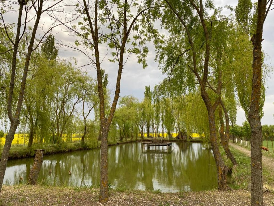 Vila Duplex cu lac si piscina Giarmata Vii  cu 5880 mp de teren - ID V5269 19, foxfort.ro