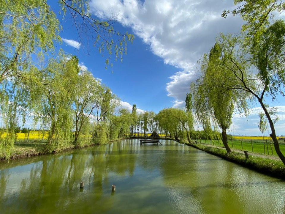 Vila Duplex cu lac si piscina Giarmata Vii  cu 5880 mp de teren - ID V5269 20, foxfort.ro