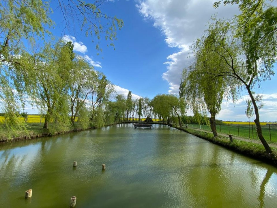 Vila Duplex cu lac si piscina Giarmata Vii  cu 5880 mp de teren - ID V5269 22, foxfort.ro