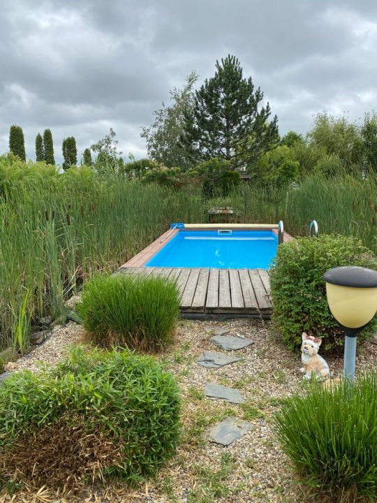 Vila Duplex cu lac si piscina Giarmata Vii  cu 5880 mp de teren - ID V5269 23, foxfort.ro