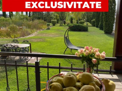 Vila Duplex cu lac si piscina Giarmata Vii  cu 5880 mp de teren - ID V5269 imagine mica 2, foxfort.ro