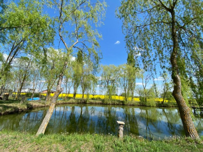 Vila Duplex cu lac si piscina Giarmata Vii  cu 5880 mp de teren - ID V5269 imagine mica 5, foxfort.ro