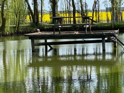 Vila Duplex cu lac si piscina Giarmata Vii  cu 5880 mp de teren - ID V5269 imagine mica 18, foxfort.ro