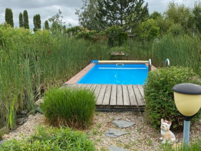 Vila Duplex cu lac si piscina Giarmata Vii  cu 5880 mp de teren - ID V5269 imagine mica 23, foxfort.ro