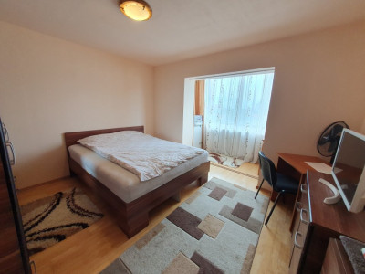 Apartamente de vanzare Timisoara Steaua imagine mica 7