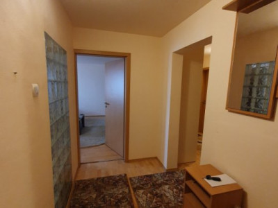Apartamente de vanzare Timisoara Steaua imagine mica 20
