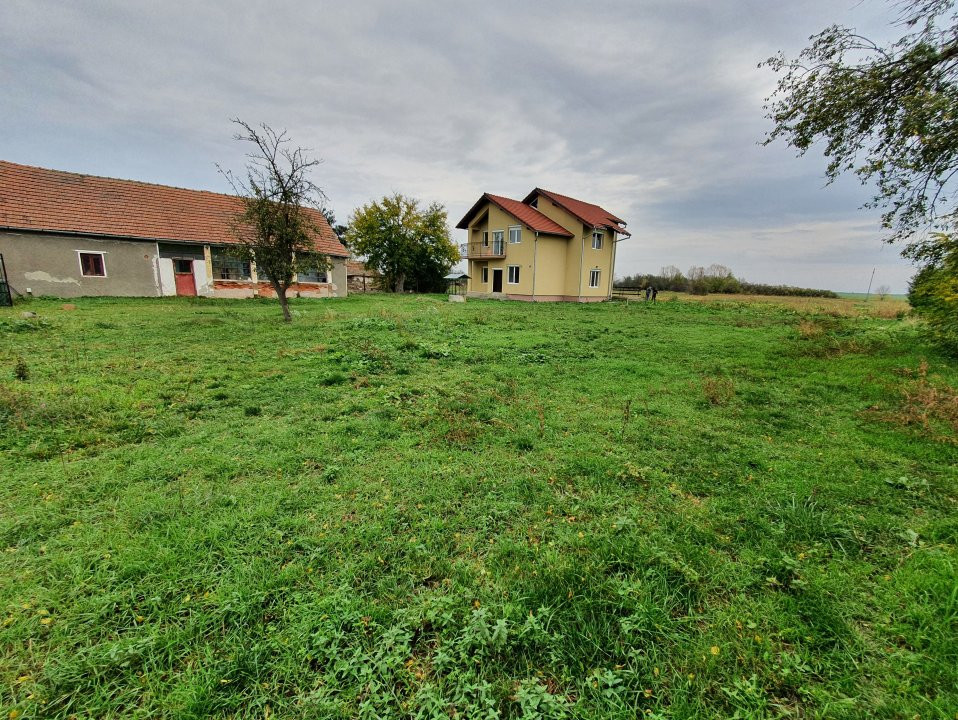 Casa cu 5 camere, 236 mp, teren 5805 mp, Brestea - Denta  39, foxfort.ro