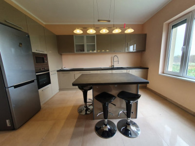 Casa cu 5 camere, 236 mp, teren 5805 mp, Brestea - Denta  imagine mica 3, foxfort.ro